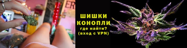 дживик Аркадак
