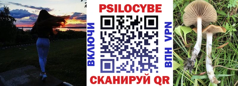 купить наркотики цена  Сретенск  Галлюциногенные грибы ЛСД 